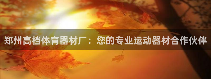 极悦平台注册和登录页面一样吗：郑州高档体育器材厂：您
