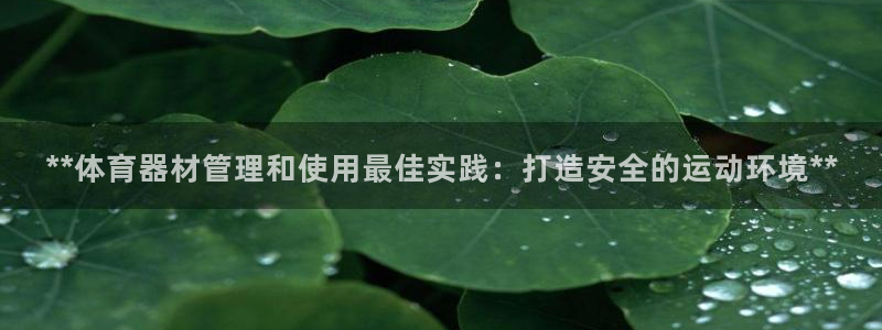 极悦平台与网易合作详情：**体育器材管理和使用最佳实
