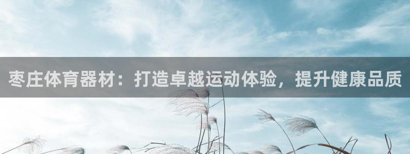 极悦是什么牌子空调的：枣庄体育器材：打造卓越运动体验