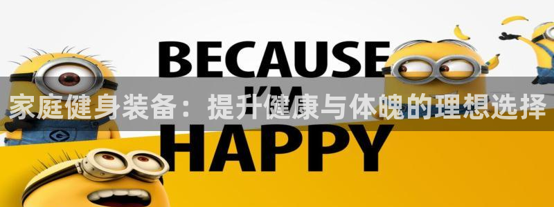 极悦平台注册用户名验证：家庭健身装备：提升健康与体魄