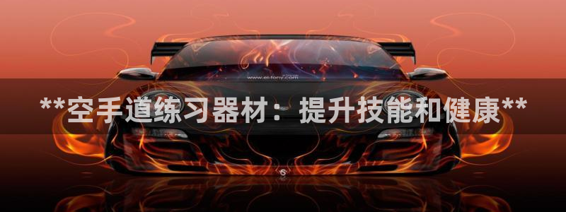 极悦娱乐代理人是谁啊：**空手道练习器材：提升技能和