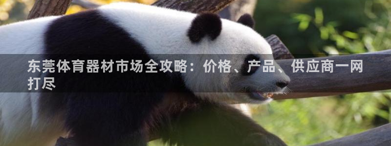 极悦平台有风险吗安全吗：东莞体育器材市场全攻略：价格