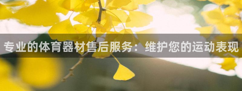 极悦官网的登录方法：专业的体育器材售后服务：维护您的