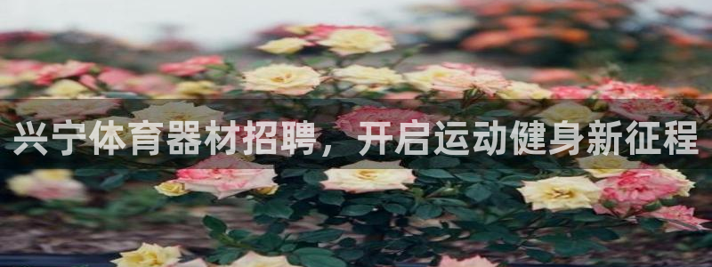 极悦平台网址皮皮虾下载：兴宁体育器材招聘，开启运动健