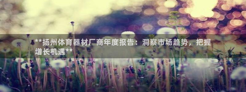 极悦平台注册用户名验证码是什么：**扬州体育器材厂商