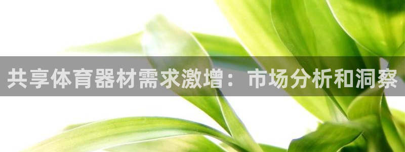 极悦平台代理：共享体育器材需求激增：市场分析和洞察