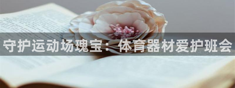 极悦平台注册官方网站下载安卓：守护运动场瑰宝：体育器