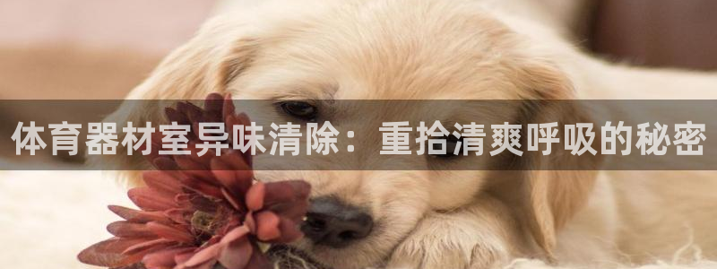 极悦官网首页登录入口网站：体育器材室异味清除：重拾清