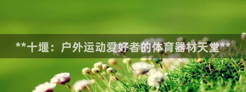 极悦平台代理怎么做：**十堰：户外运动爱好者的体育器