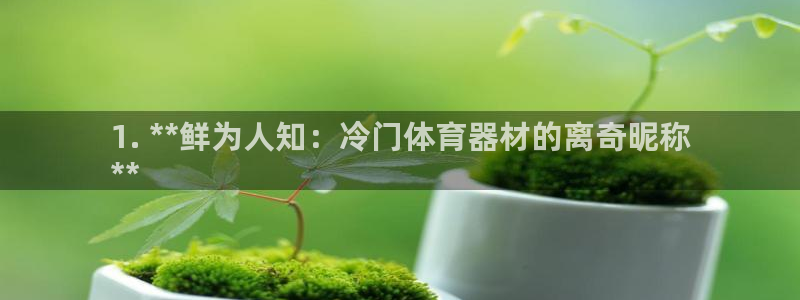 极悦牙膏怎么样好用吗：1. **鲜为人知：冷门体育器