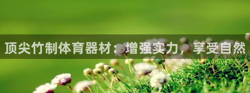 极悦平台官方网址：顶尖竹制体育器材：增强实力，享受自