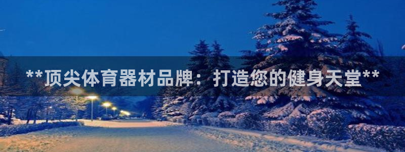 极悦平台官网登录入口：**顶尖体育器材品牌：打造您的