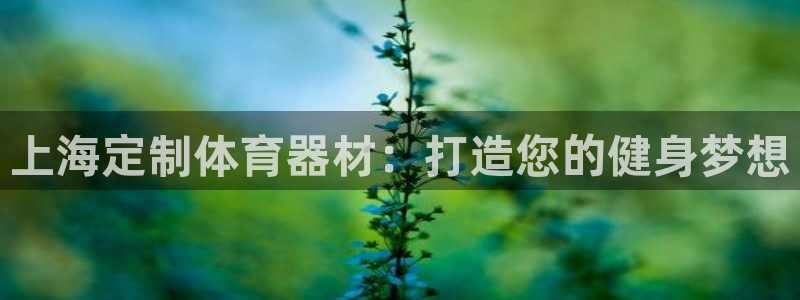 极悦平台与网易合作详情：上海定制体育器材：打造您的健