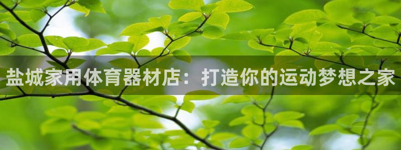 极悦娱乐负责人是谁：盐城家用体育器材店：打造你的运动