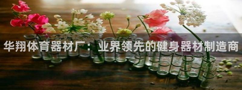 极悦平台注册官方网站下载安卓版：华翔体育器材厂：业界