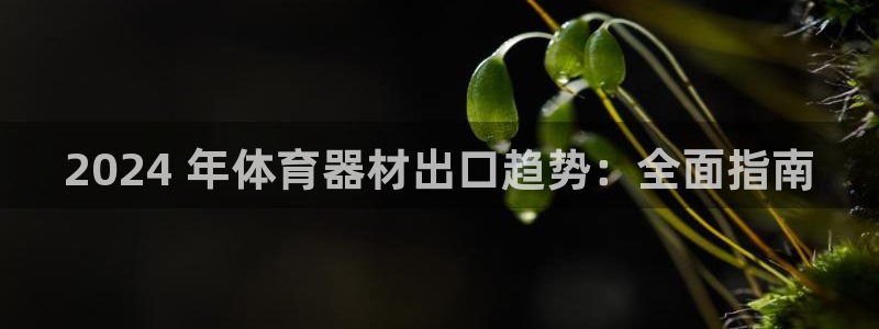 极悦平台官网登录网址是什么：2024 年体育器材出口