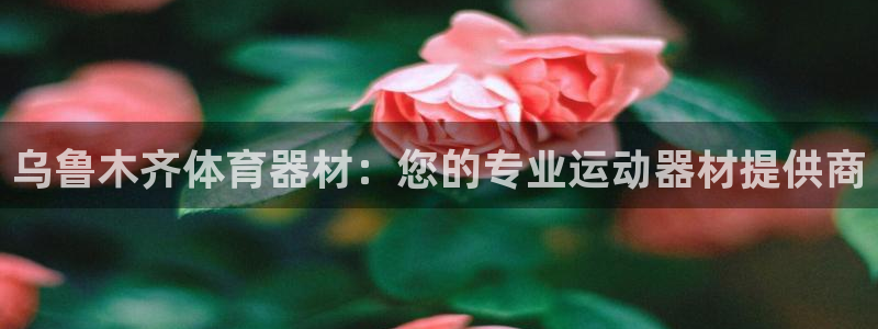 极悦平台注册失败如何解决方法：乌鲁木齐体育器材：您的
