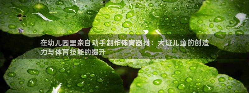 极悦平台官网登录不了：在幼儿园里亲自动手制作体育器材