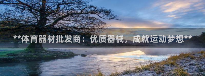 极悦官方网站app下载安装：**体育器材批发商：优质