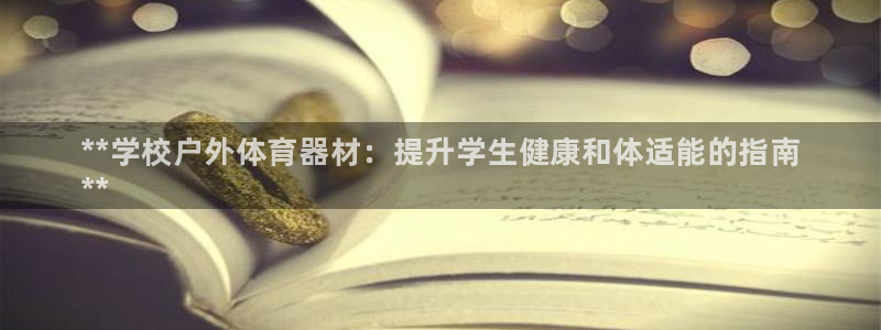 极悦平台注册用户名生成器：**学校户外体育器材：提升