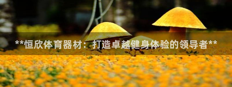 极悦官网的登录方法：**恒欣体育器材：打造卓越健身体