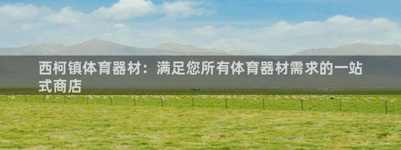 苏州极悦信息科技有限公司：西柯镇体育器材：满足您所有