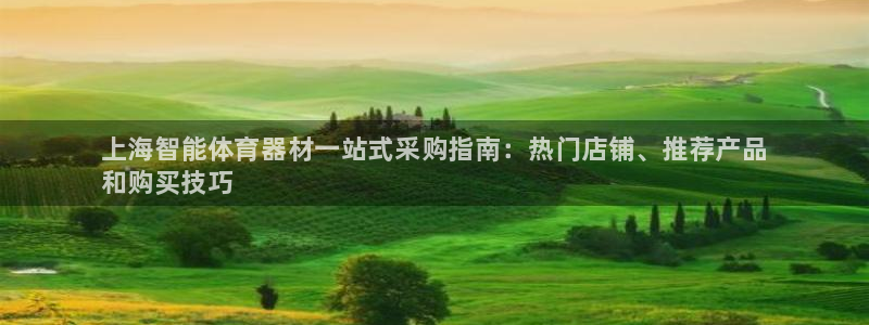 极悦平台安全吗可靠吗：上海智能体育器材一站式采购指南
