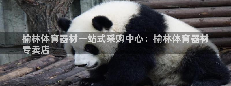 极悦平台登录人7.0.2.4登录入口：榆林体育器材一