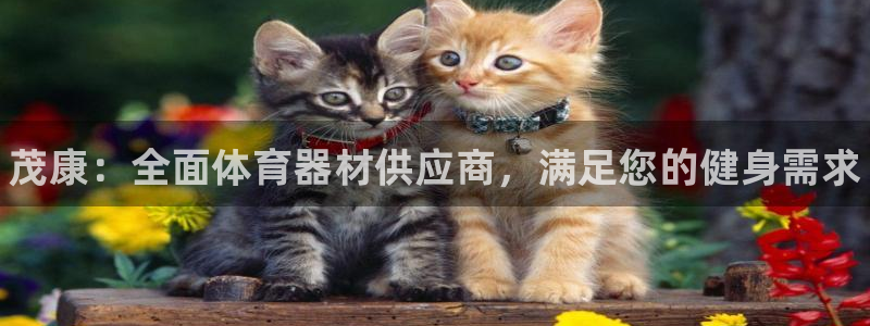 极悦平台注册登录入口在哪：茂康：全面体育器材供应商，满足您的