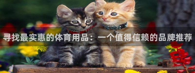 极悦平台官方网站下载安装：寻找最实惠的体育用品：一个