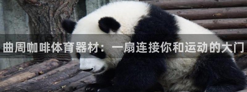 极悦平台平台注册方法与步骤视频：曲周咖啡体育器材：一