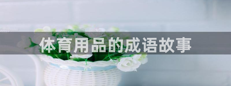 极悦平台注册流程详解图片:体育用品的成语故事