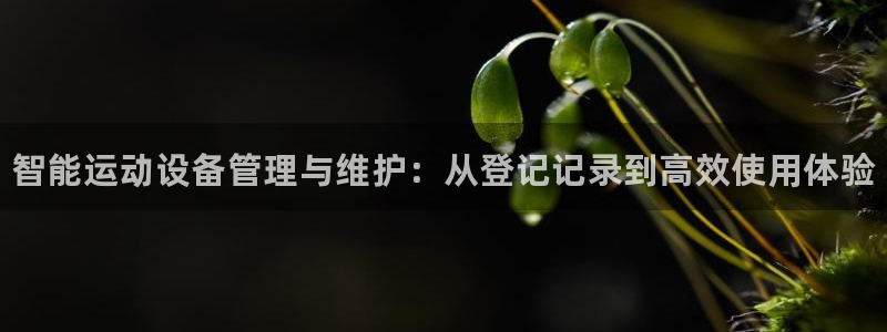 极悦官网首页：智能运动设备管理与维护：从登记记录到高