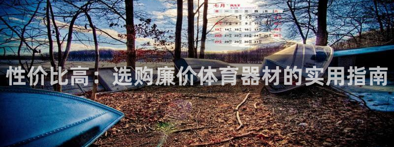 极悦平台有风险吗安全吗：性价比高：选购廉价体育器材的