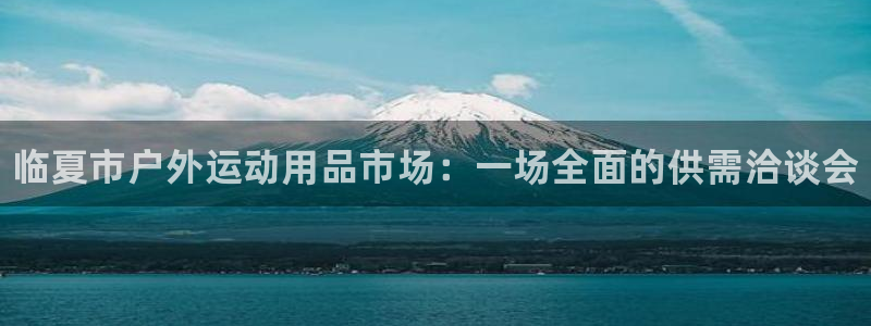 极悦平台注册和登录页面：临夏市户外运动用品市场：一场全面的供