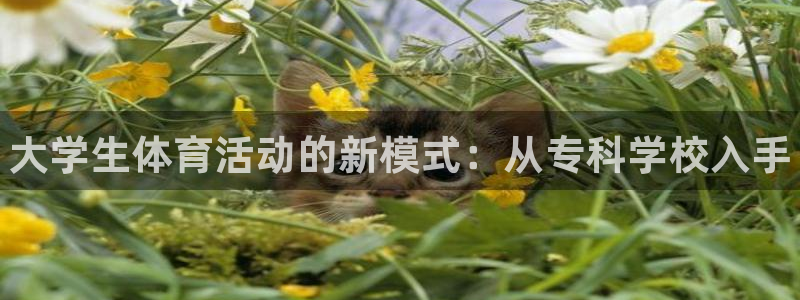 极悦娱乐官网最新版本更新内容下载